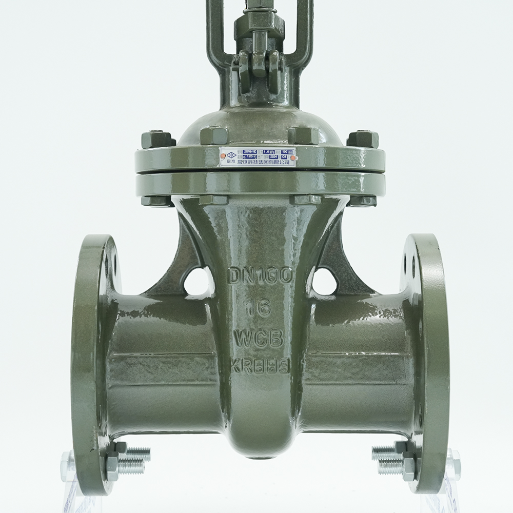 Changshui Technology Group Co., Ltd.